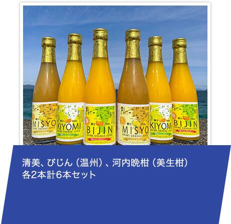 清美、びじん（温州）、河内晩柑（美生柑） 各2本計6本セット