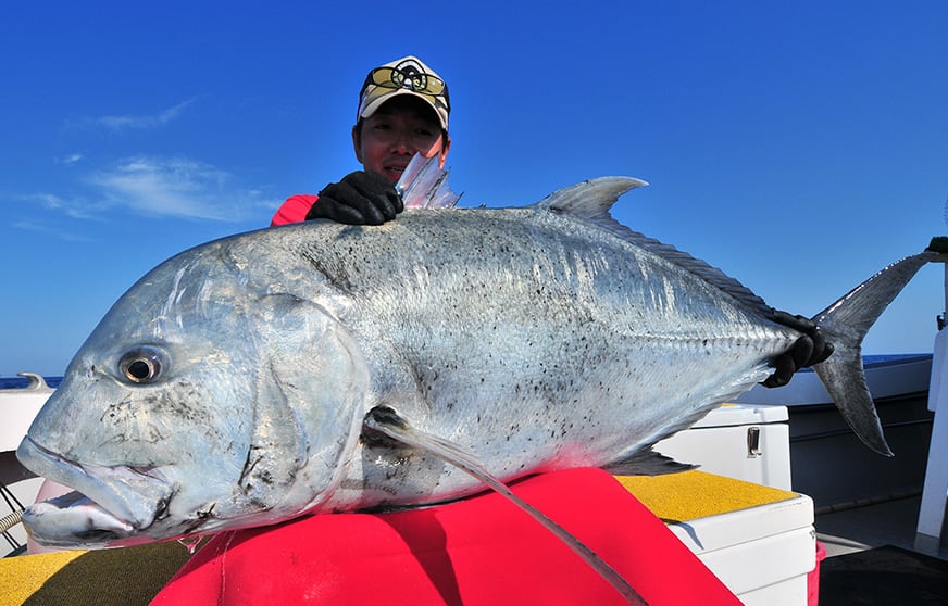 ロウニンアジ（GT）