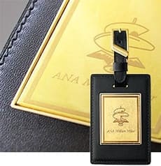 100万ライフタイムマイラーのプレート