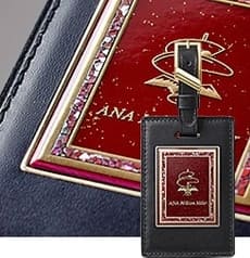 300万ライフタイムマイラーのプレート