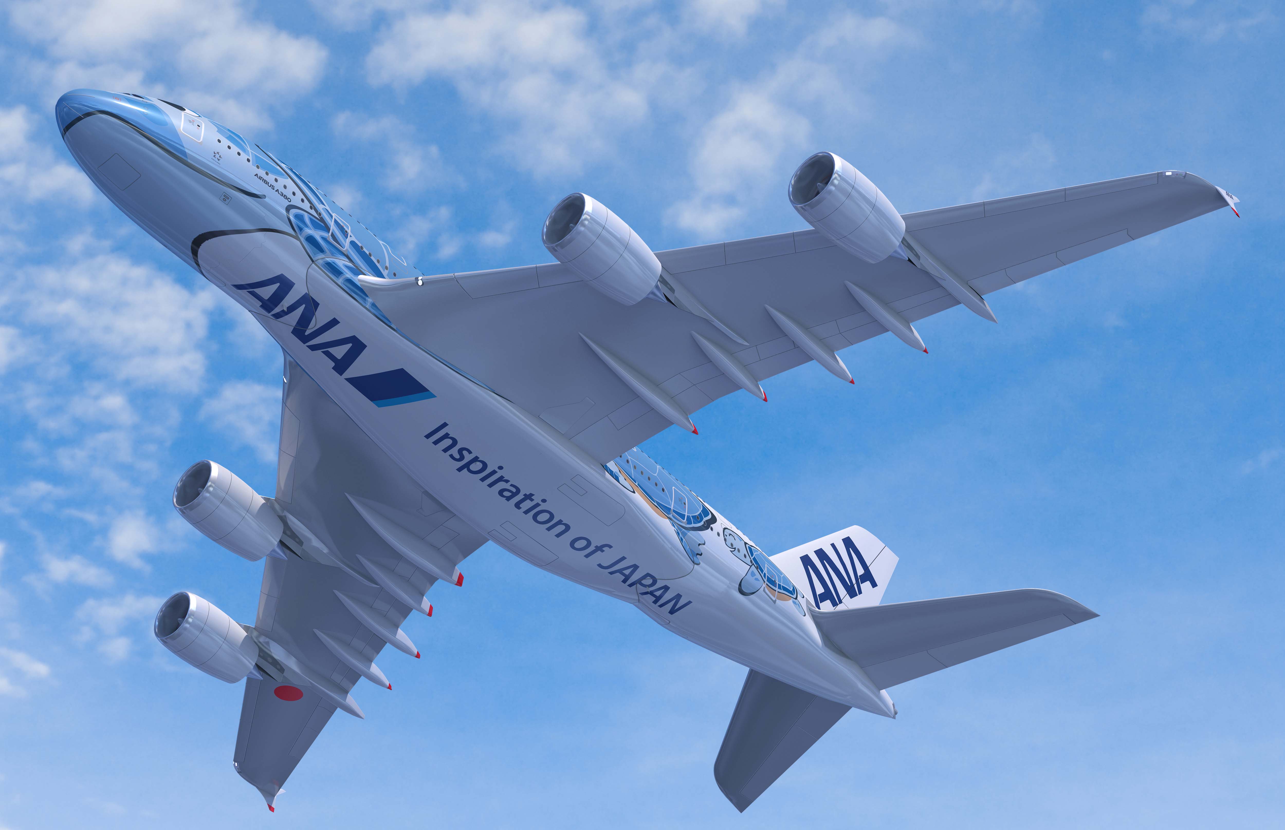 ANA airplane