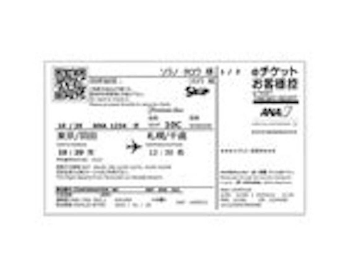 e-ticket (itenary)