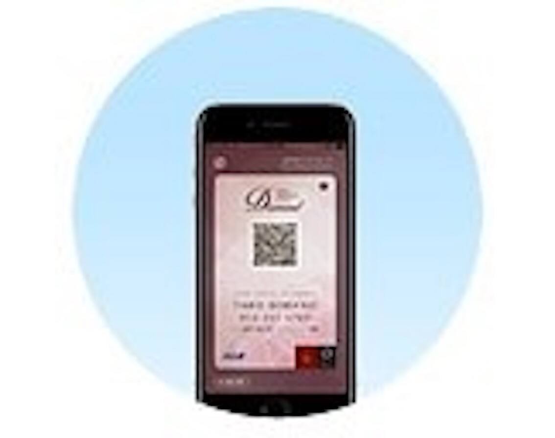 ANA Mileage Club app digital card
