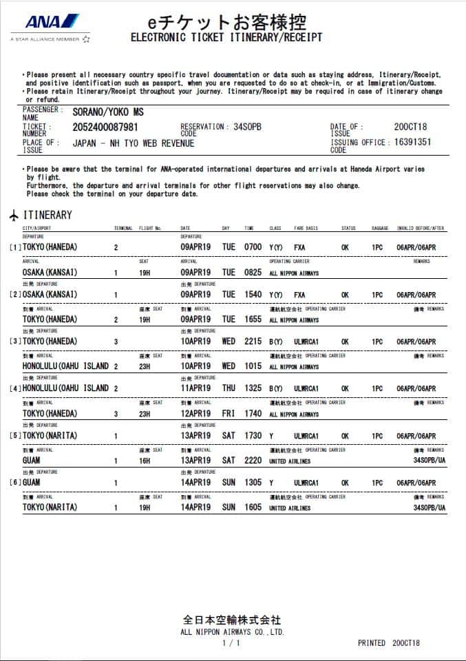 Sample e-ticket itinerary receipt