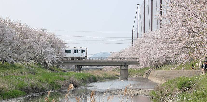 a landscape of Fukuoka
