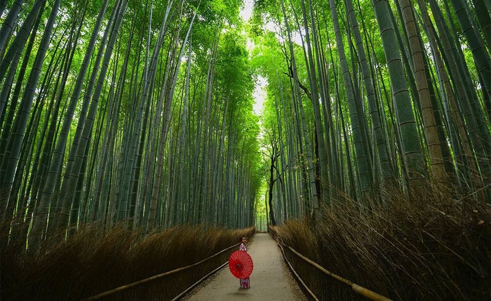 a photo of Kyoto