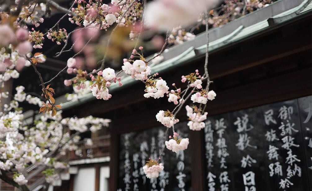 a photo of Osaka