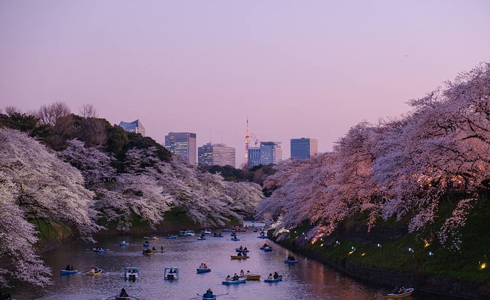 a photo of Tokyo