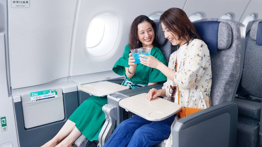 プレミアムエコノミーのお客様と話をするANAスタッフ