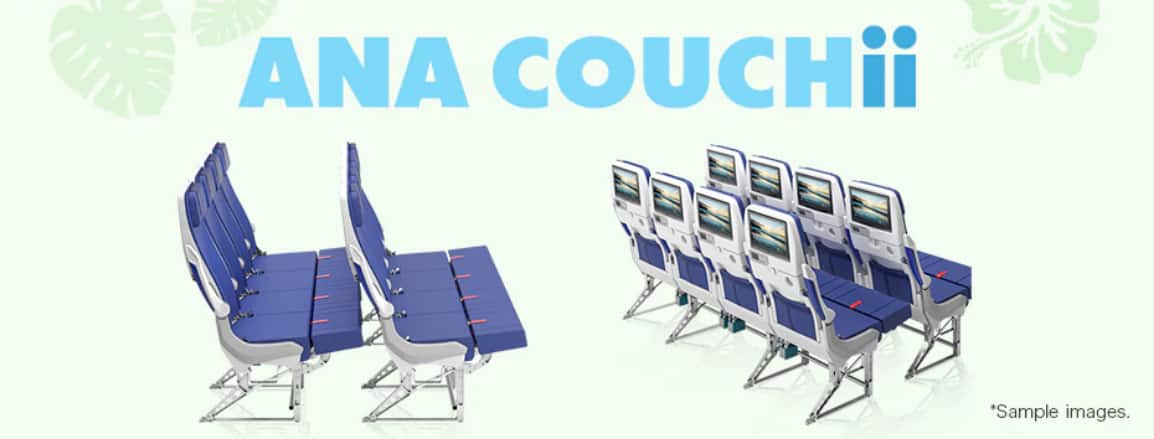 ANA couchii image