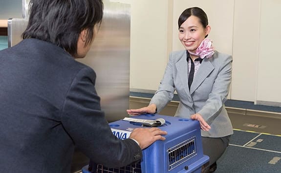 ケージを持つカウンタースタッフ