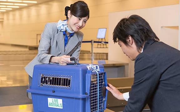 ケージを持ちあげるグラウンドスタッフ