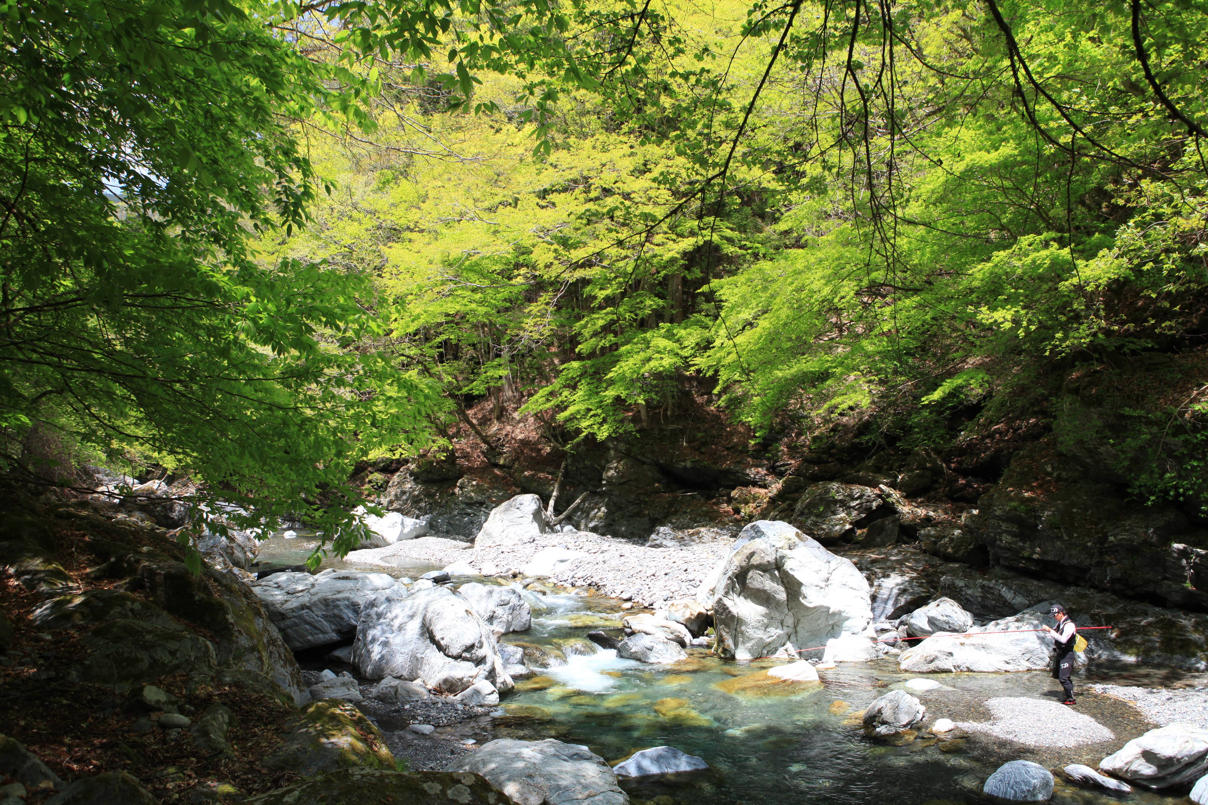 川の上流のイメージ