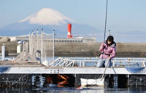 魚が釣れたら、釣り場に用意されている、長い柄のついたタモを手で持ってすくいます。最後は腰を落として低い姿勢をとりましょう。